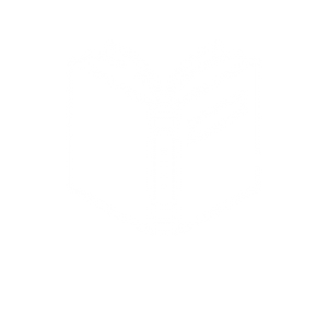كتب وروايات كتب وروايات